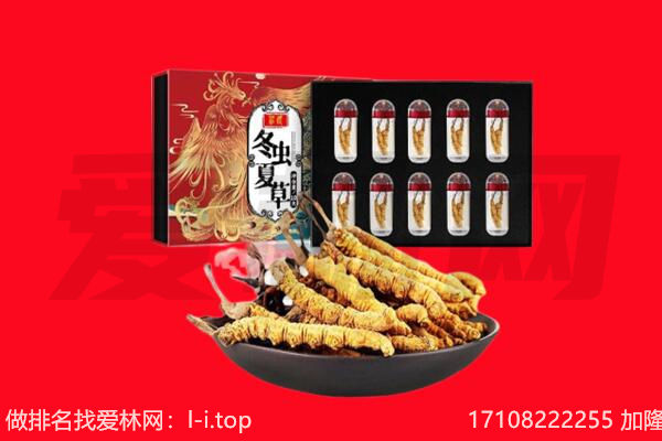 疏勒县回收虫草.jpg